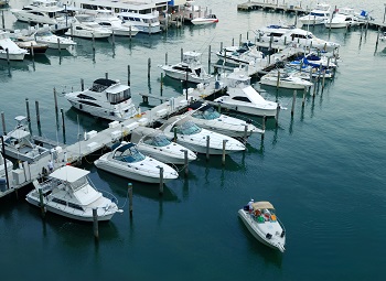 many boats at a marina